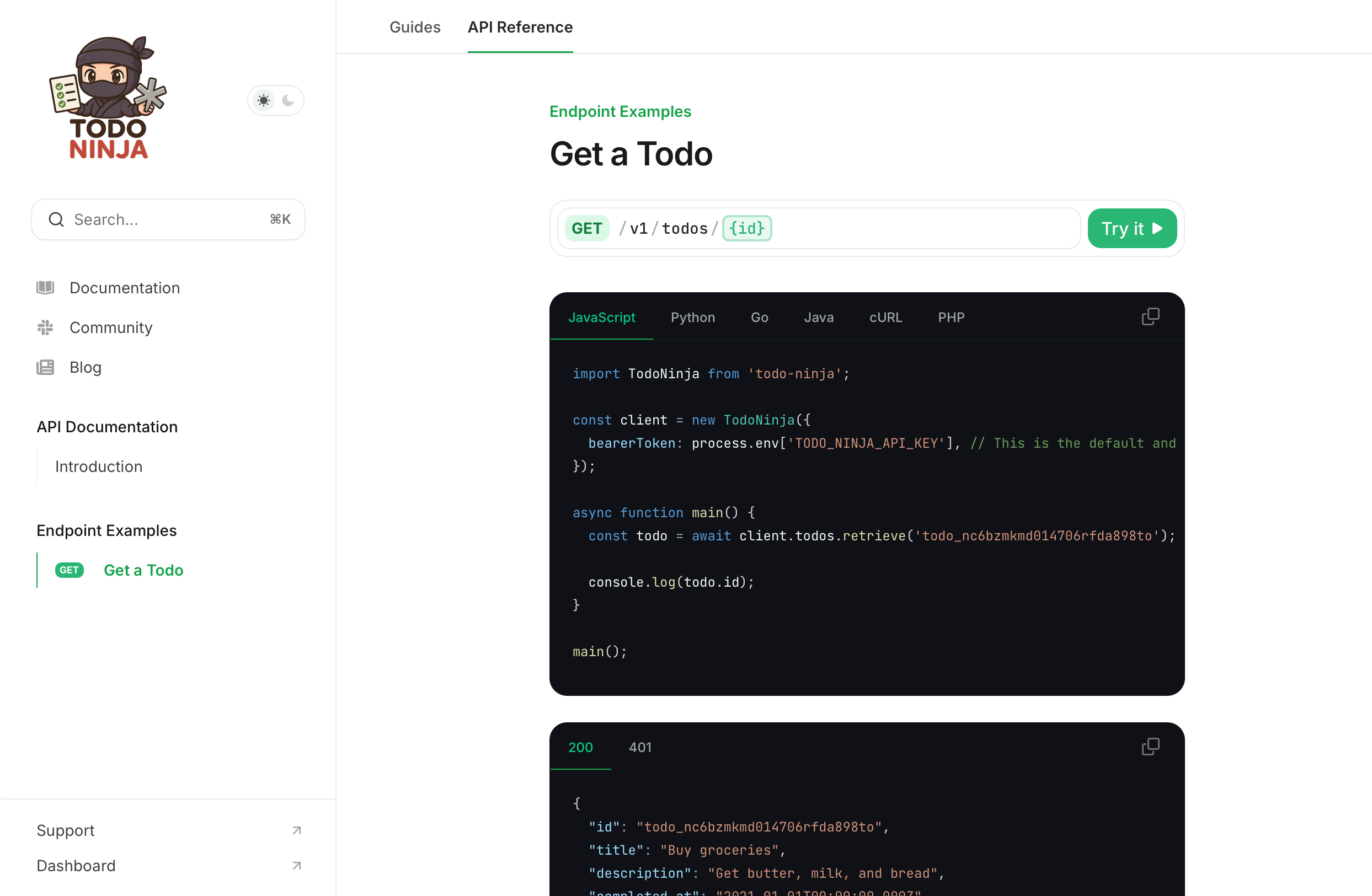 JavaScript code example rendered by Mintlify API docs